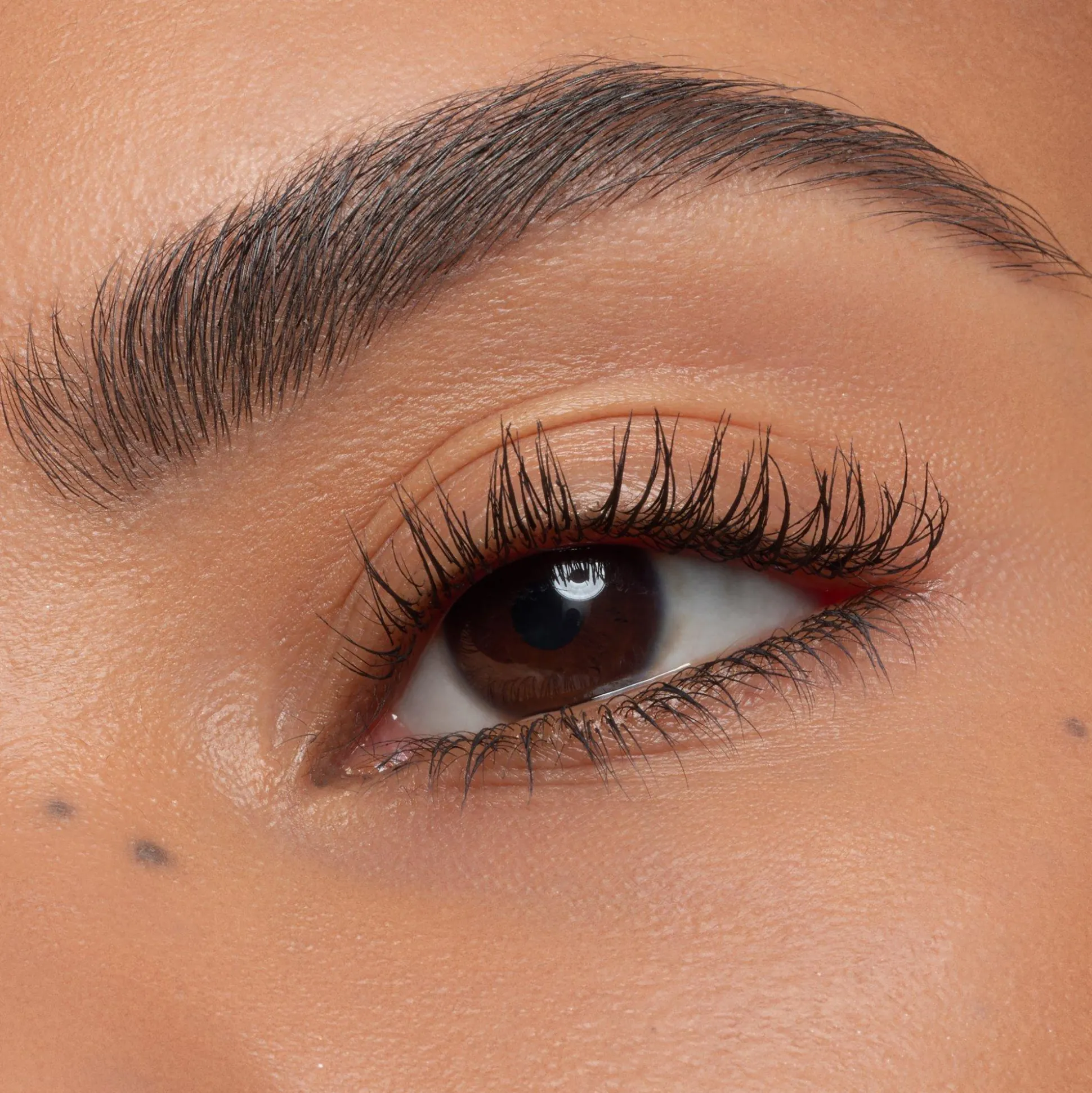 essence easy & WOW brow set medium Outlet