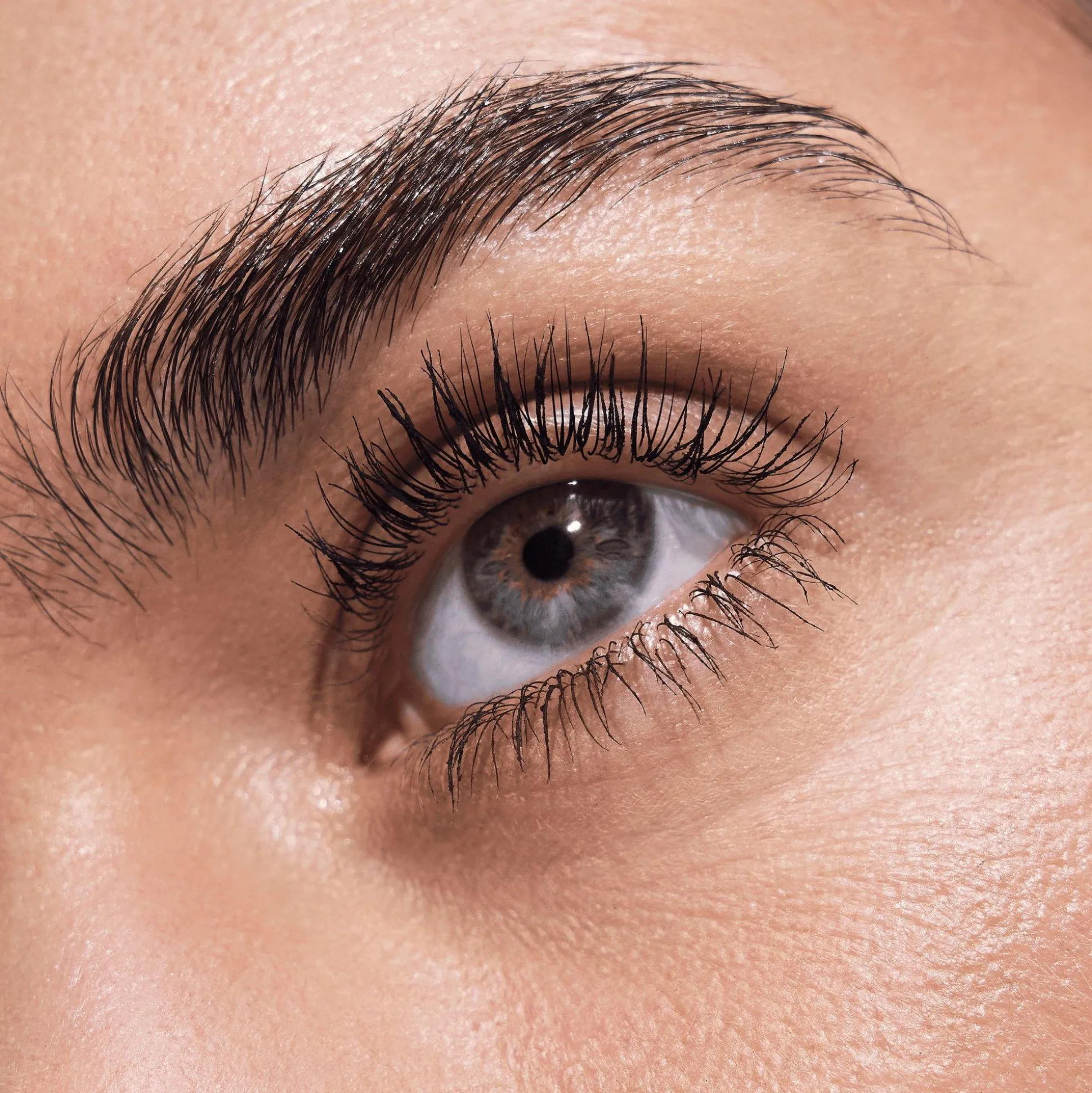essence LIFT UP Volume & Lift Mascara Power Hold Waterproof Disney Pixar Finding Dory Outlet