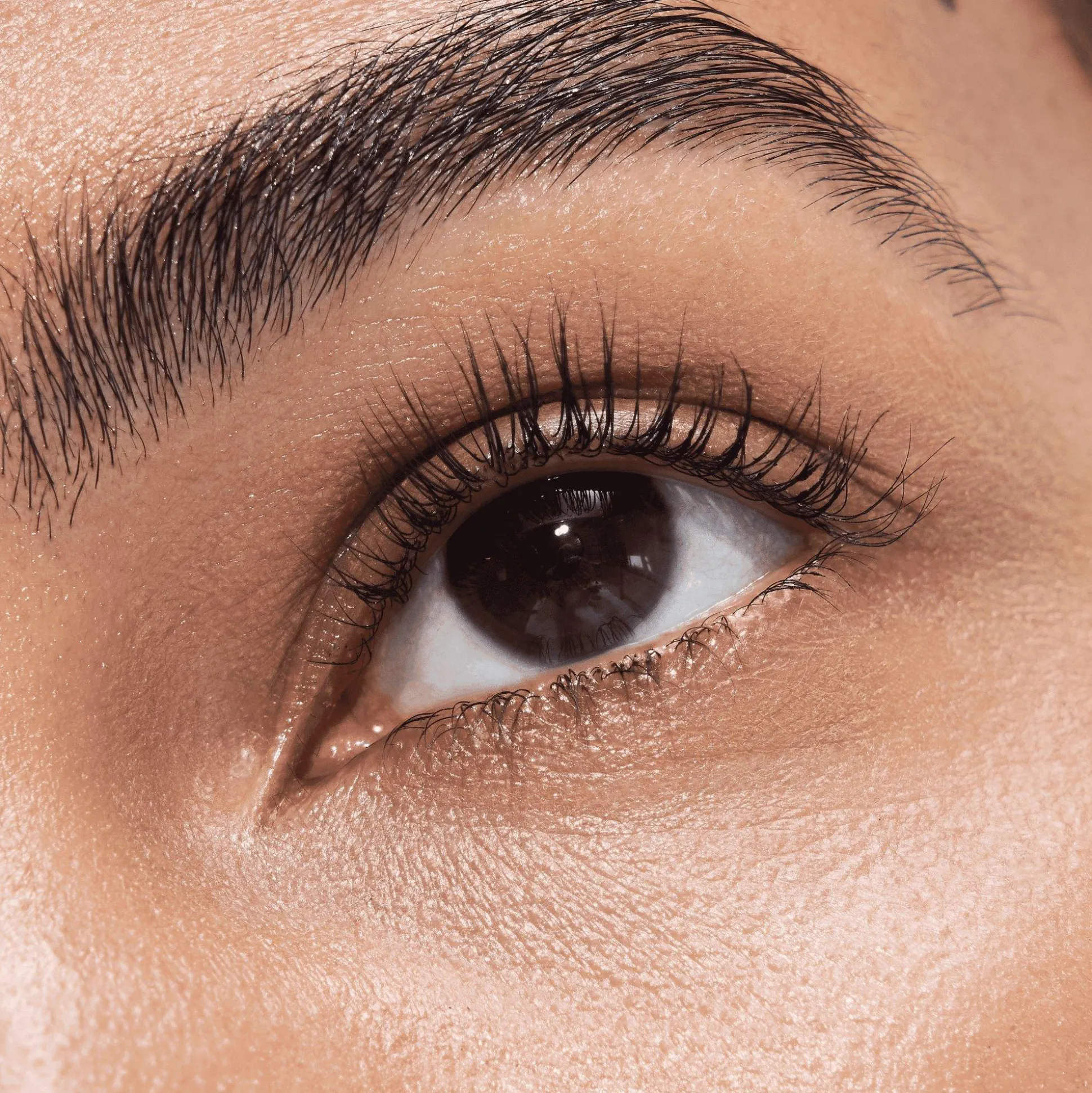 essence LIFT UP Volume & Lift Mascara Power Hold Waterproof Disney Pixar Finding Dory Outlet